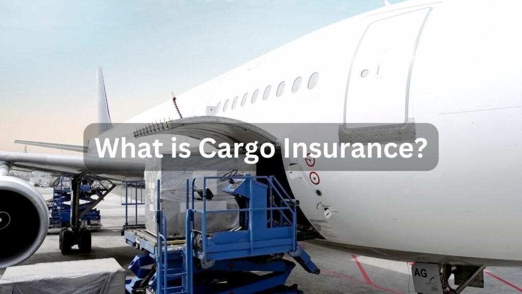 What is cargo insurance: Why need it, and How to Buy it? 2 What is Cargo Insurance